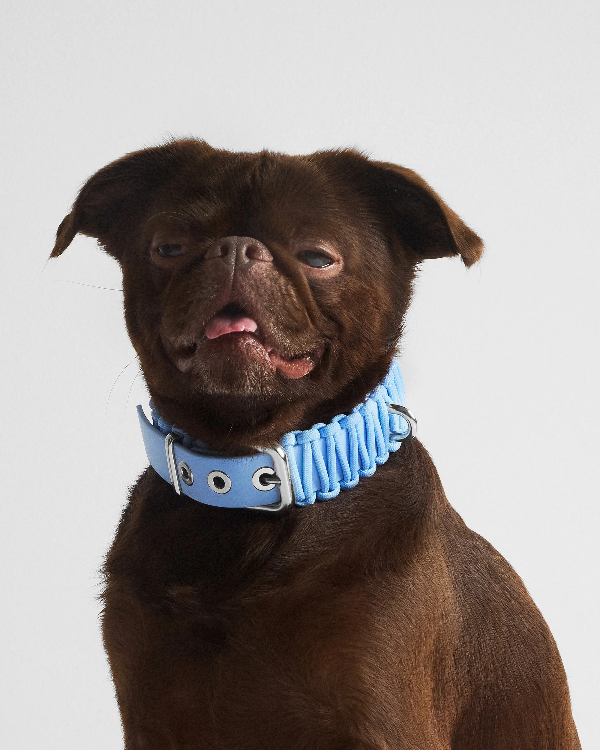 GALAN COLLAR in Baby Blue — VALKA KUKUR Modern sophsticated